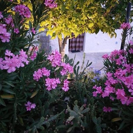 Cuevas Los Coloraos - La Residencia Villanueva de las Torres Kültér fotó